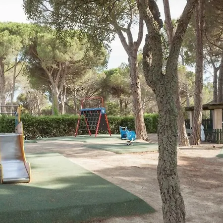 Lisieres Du Golf *